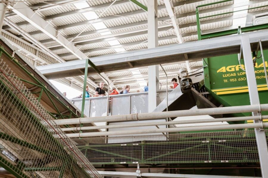 Oleopack Picualia (Tour & Oil Tasting) - Good To Know