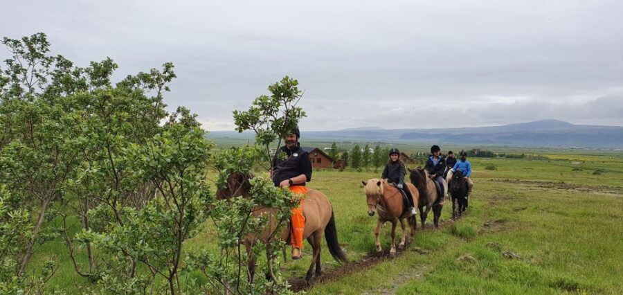 Ölfus: Horse Riding Tour