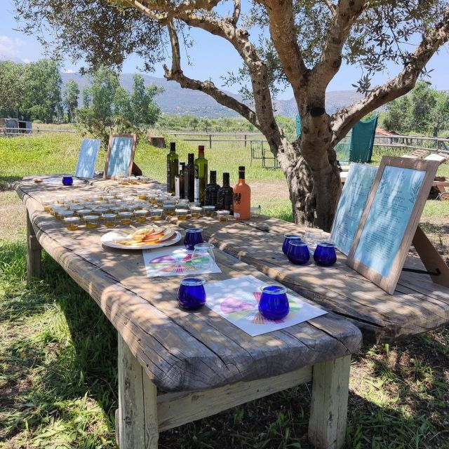 Olive Odyssey: Celebration of Cretan Olive Culture