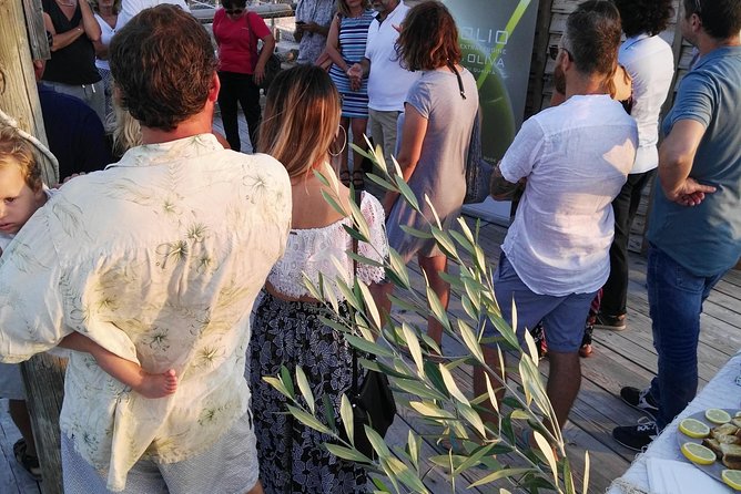 Olive Oil Tasting in Abruzzo