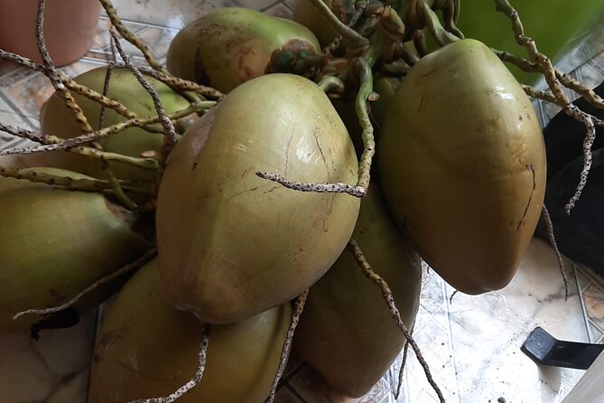 Omars River Tubing From Montego Bay - Equipment and Inclusions