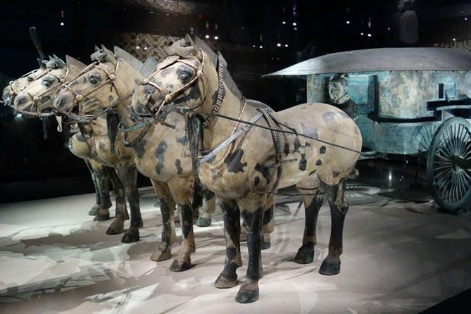 One Day Chengdu Xian Tour by Bullet Train - Good To Know