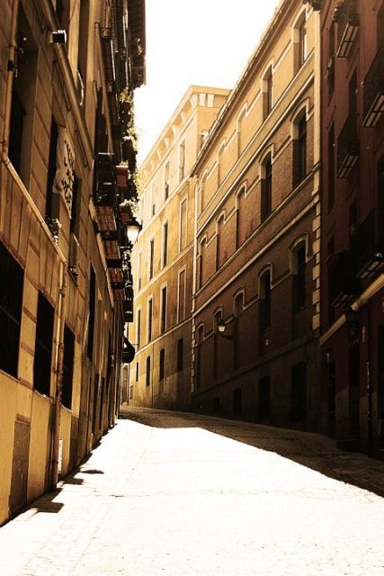 One-Day Private Guided Tour in Madrid - Good To Know