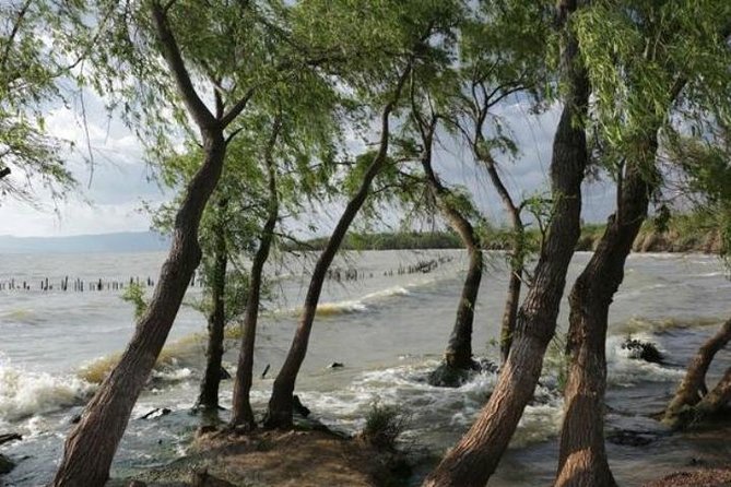 One Day Tour to Eastern Coast Region of Daichi Lake