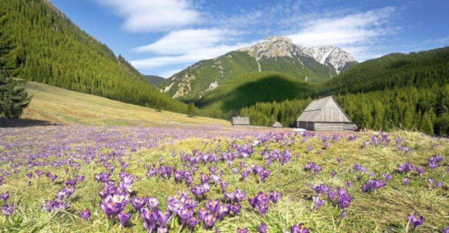 One Day Tour to Zakopane Tatra Mountains From Krakow - Good To Know