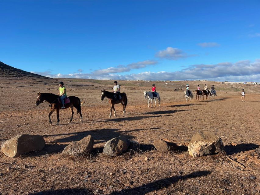One Hour Horse Riding Tour in Gran Canaria