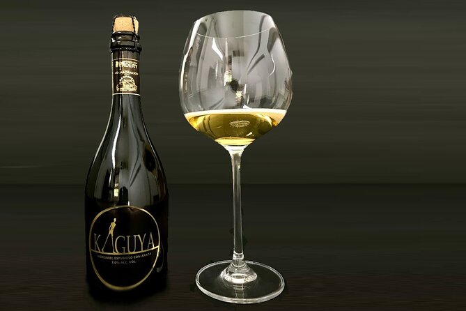 2 Best Drinking Tours In Costa Rica