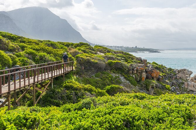 One-Way Hop-On Hop-Off Bus From Cape Town to Port Elizabeth - Overview and Benefits