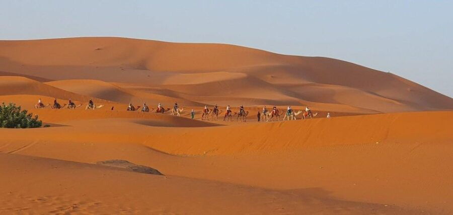 One Way Trip From Fez to Merzouga (Only Transportation ) - Good To Know