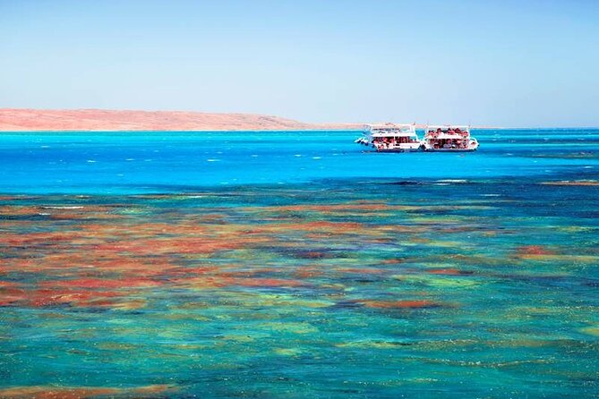 Orange Bay Snorkeling and Scuba Diving Tour - Good To Know