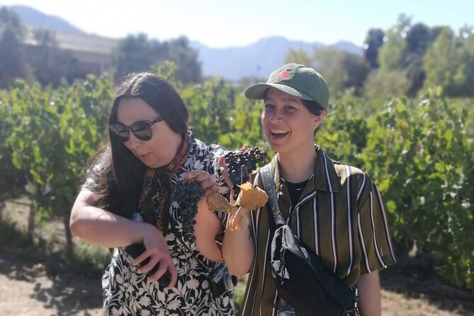 Organic Wine Route, Lunch With Local Chef, Valparaíso Tour. - Good To Know
