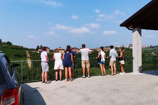 Organic Wine Tasting and Cellar Visit With Wine Maker