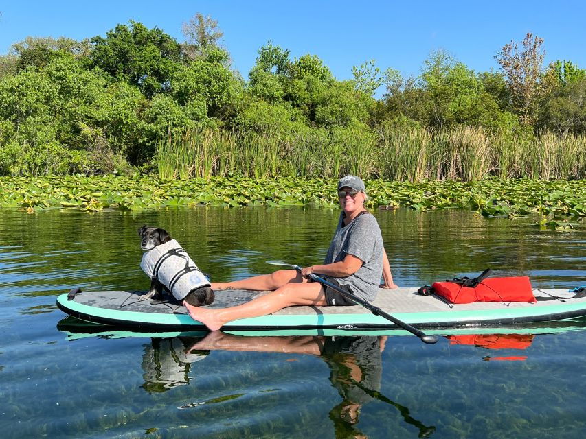 Orlando: Paddle With Pups in Paradise – Paddleboard or Kayak
