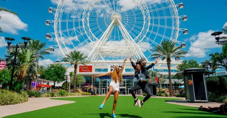 Orlando: The Wheel at ICON Park Observation Wheel Options