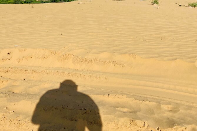 Osian Desert Camel Safari With Transfers From Jodhpur (Feb )