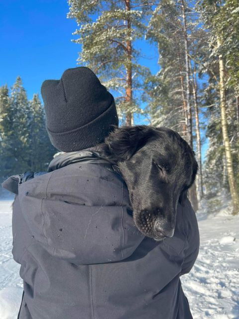 Oslo: Guided Forest Hike With a Dog and Norwegian Waffles - Good To Know