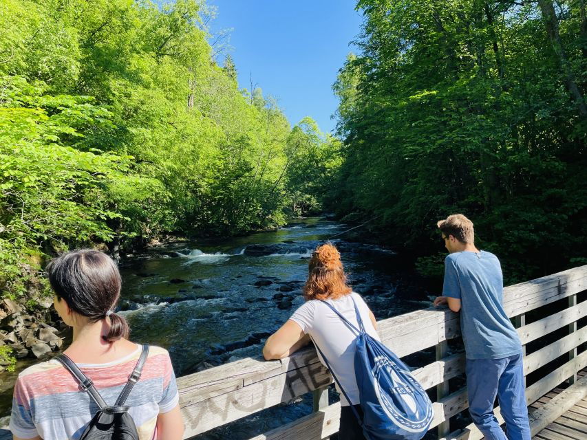 Oslo: Lysaker Wild River Walk