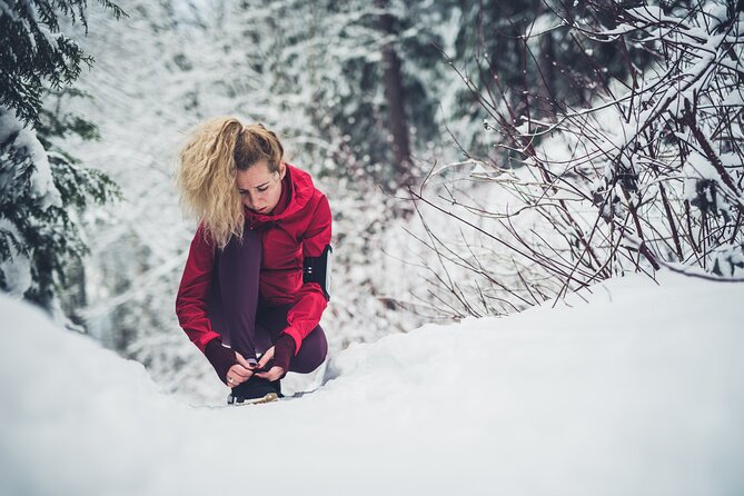 Oslo Summit Tour: A Scenic Hiking Adventure to Vettakollen - Good To Know