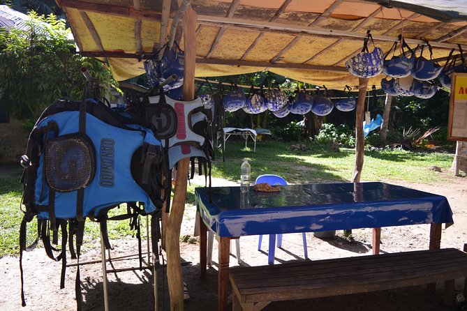 Oslob Whale Shark and Kawasan Falls Canyoneering Day Tour
