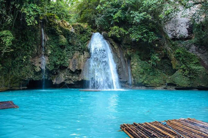 Oslob Whale Shark and Kawasan Falls Day Tour