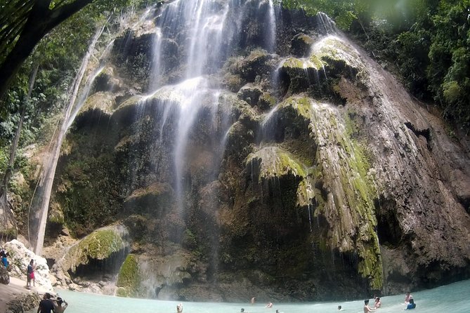 Oslob Whale Shark Watching and Badian Canyoneering