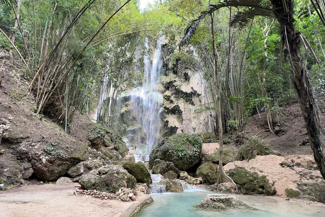 Oslob Whale Shark Watching Kawasan Falls Day Tour