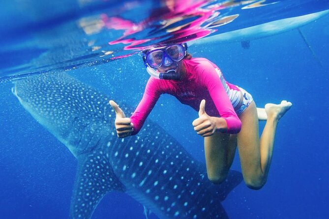 Oslob Whale Sharks, Tumalog Falls & Moalboal Sardines Snorkeling