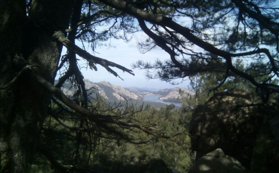OSPEDALE FOREST:Panoramic Summit With Sea and Lakes View