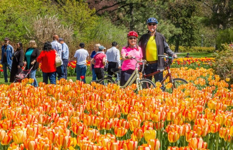 Ottawa: 2 or 3.5-Hour Sightseeing Bike Tour
