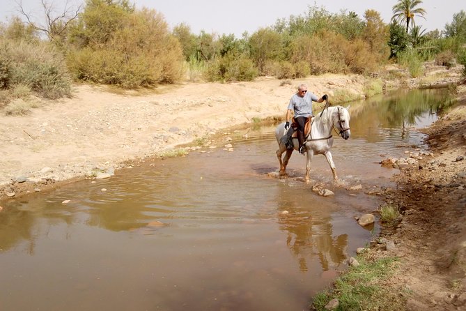 Ouarzazate Horseback or Camel Riding Hollywood Tour (Feb )