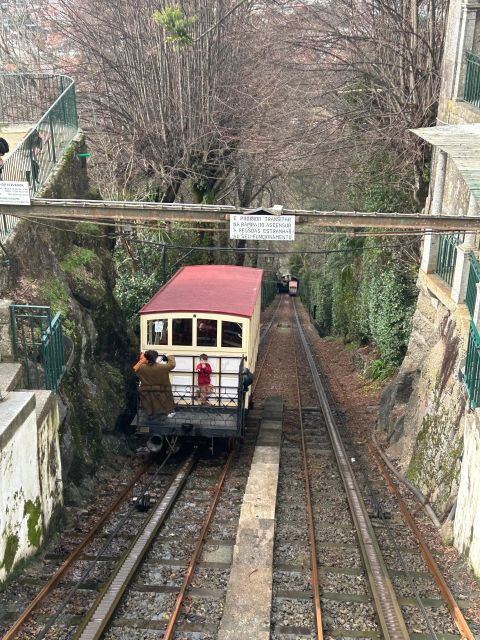 Outside of Porto: Day Trip to Braga and Guimarães - Good To Know