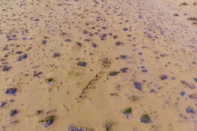 Overnight Camel Safari - Sleeping Under the Stars