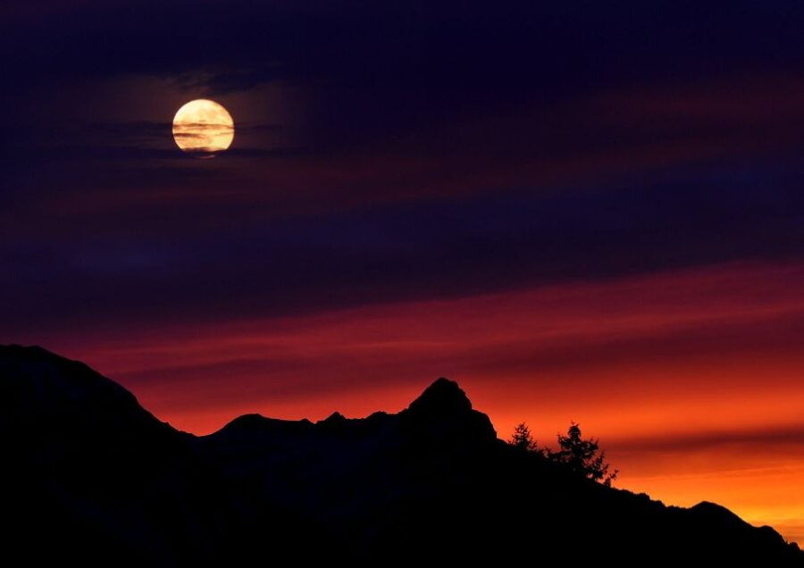 Overnight Camp & Sunset and Sunrise Wildlife Trip With Hike - Good To Know