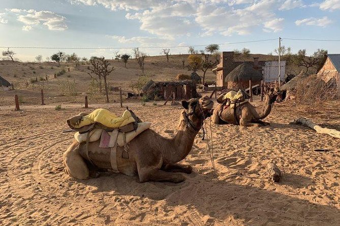 Overnight Stay In Swiss Tent With Camel Safari & Folk Dance