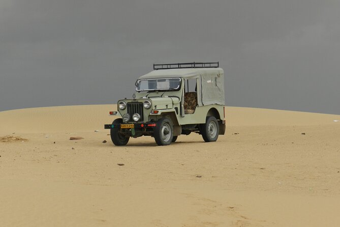 Overnight Wild Camping Desert Safari