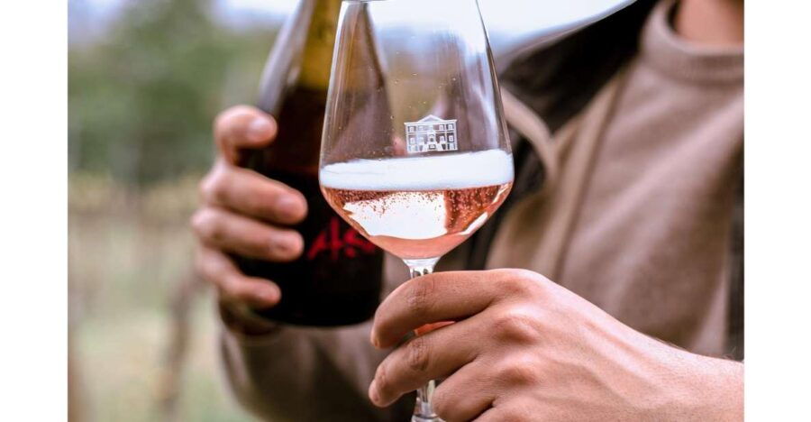 Ozzano Emilia: Guided Cellar Walking Tour With Wine Tasting - Good To Know