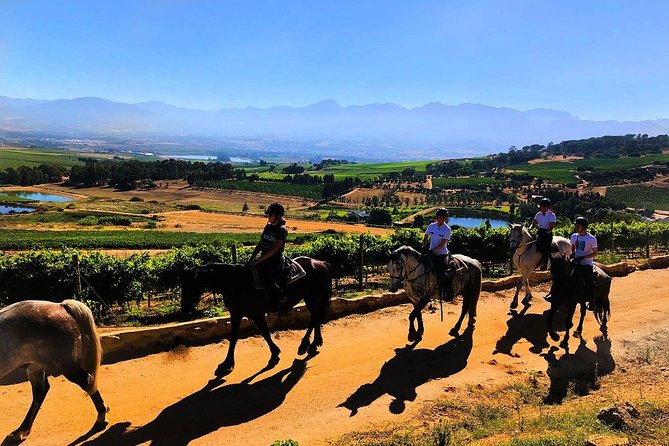 Paarl Small-Group Horseback Riding Tour  - Stellenbosch - Good To Know