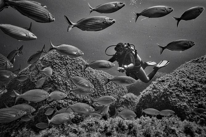 Package of 2 Double Dives in the Capo Carbonara Marine Protected Area