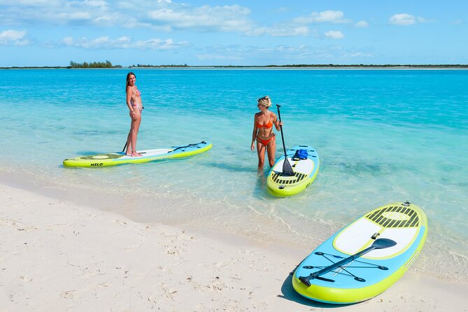 Paddleboard Mangrove Eco Tour