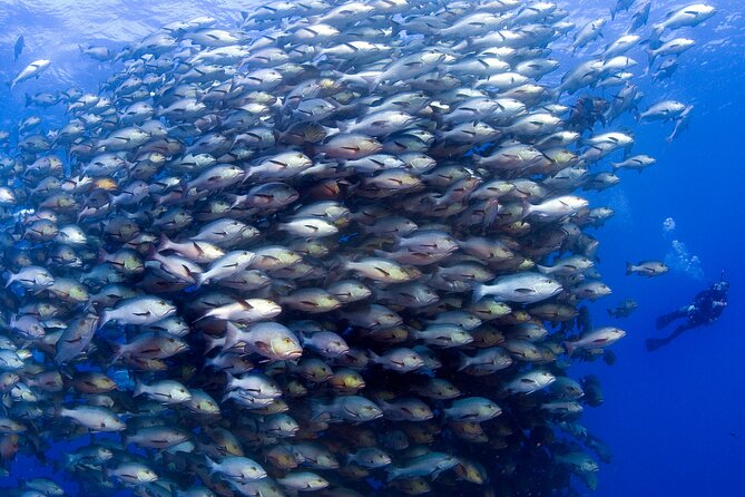PADI Advanced Open Water Course