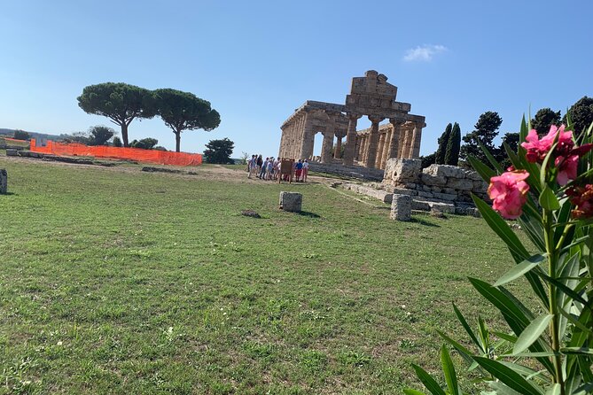 Paestum Private Tour From Naples - Good To Know