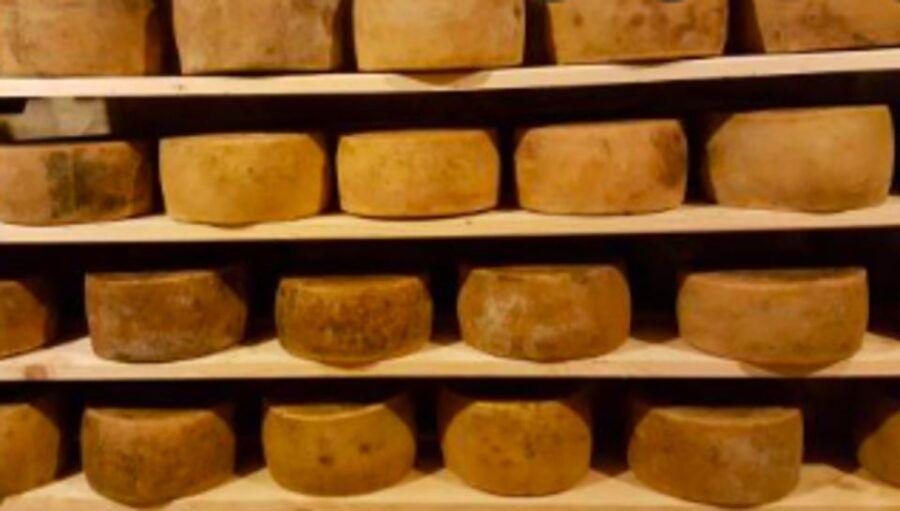 Palazzolo Acreide: Ricotta Cheese and Farm Tour With Tasting