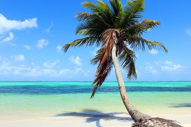 Palladium Punta Cana - Round Trip Shuttle - Punta Cana Airport - Good To Know