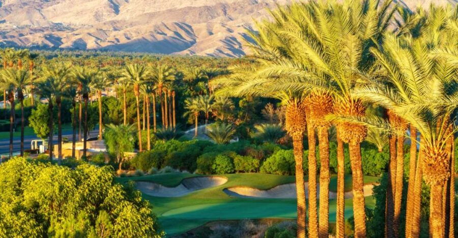 Palm Springs & Joshua Tree: National Park Self-Guided Tours - Good To Know