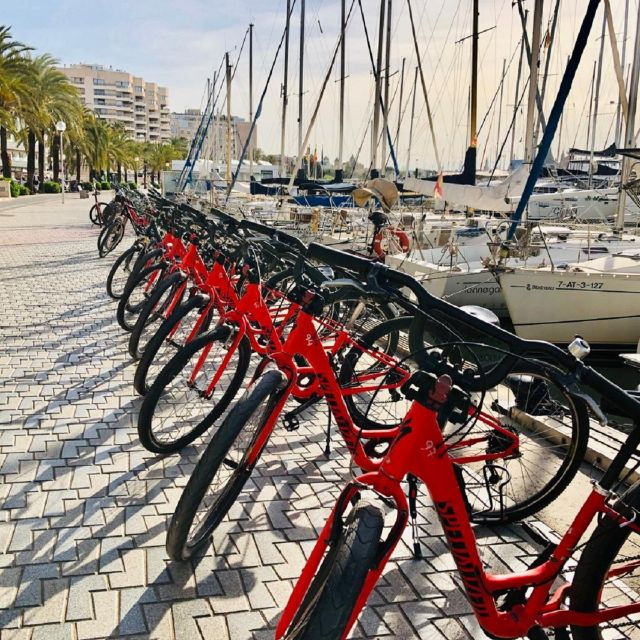 Palma De Mallorca: Guided Bicycle Tour With Tapas & a Drink - Good To Know