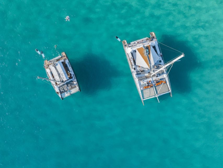Palma De Mallorca: Half-Day Catamaran Tour With Buffet Meal