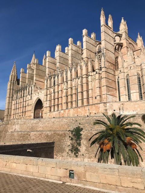 Palma De Mallorca: Lifestyle & Local Food Tasting - Good To Know