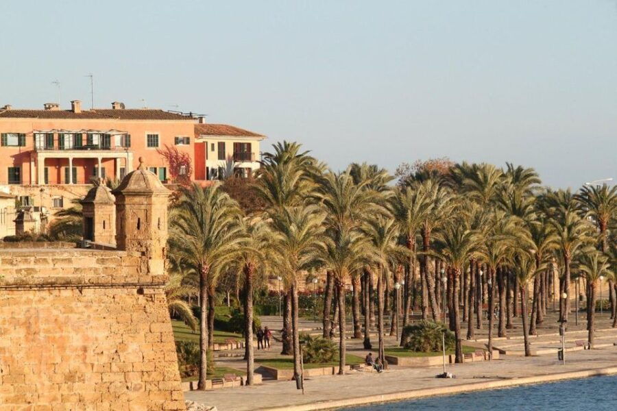 Palma De Mallorca Private Guided Walking Tour - Good To Know