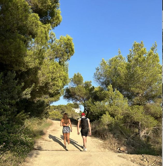 Palma De Mallorca: Tour Land Rover Calas SW Mallorca - Good To Know