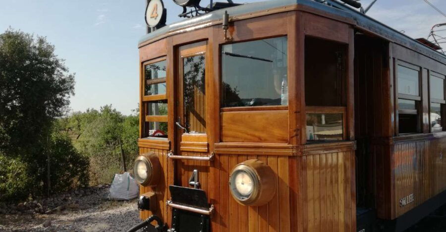 Palma De Mallorca: Tramuntana Mountains Full-Day Guided Tour - Good To Know